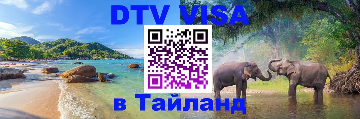 Оформление DTV визы под ключ: стоимость и тарифы, только загранпаспорт - Невинномысск  20.11.2025 